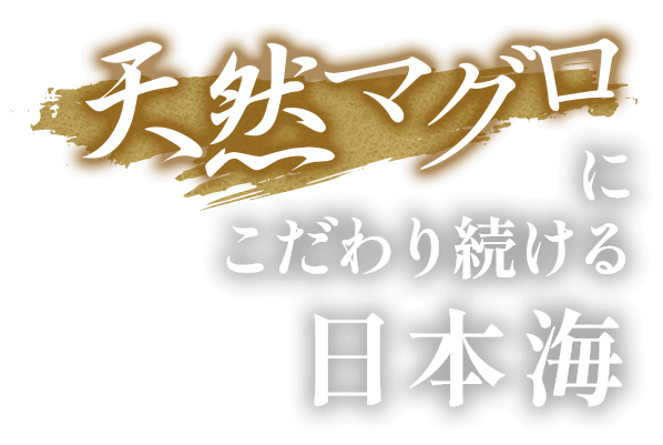 天然マグロに こだわり続ける